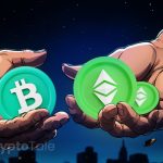 ETC and BCH Showcase Resilience Amid Crypto Market Volatility