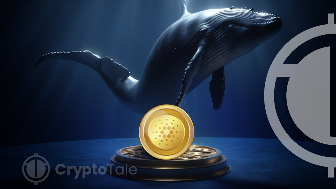 ADA Whales’ $13 Billion Daily Transactions Surpass Ethereum's Averages