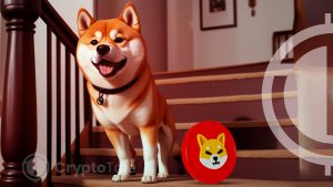 Shiba Inu (SHIB) Transactions Surge by 1314% with $64M Whale Activity in 24 Hours