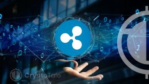 Ripple’s Innovative Approach Poised to Transform the $1.5 Trillion IT Services Market