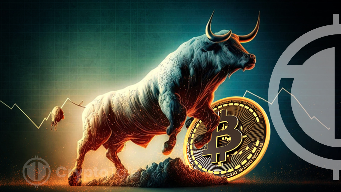 Bitcoin ETFs and Halving: Game-Changers or Market Myths in 2024?