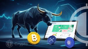 Report Unveils Bullish Trends as Bitcoin Soars and Top Cryptocurrencies Rally