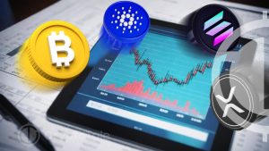 CryptoRank’s Market Insights Unveil a Surge in Crypto Fortunes: Report
