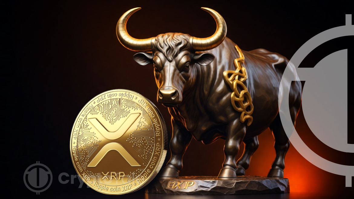 Analyst Unveils Latest XRP Insights Amidst Volatile Trading Patterns