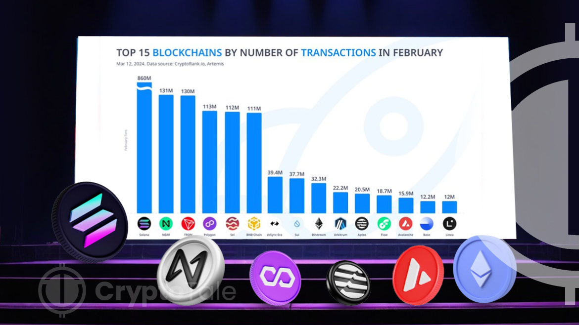 Solana Leads February Blockchain Surge with 860 Million Transactions