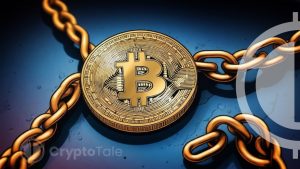 Bitcoin’s Record Surge Meets Cautious On-Chain Economic Activity