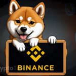 Shiba Inu's Integration with Binance Pay: A New Horizon for Payments?