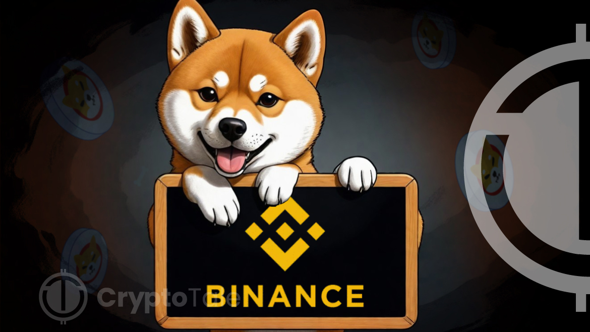 Shiba Inu’s Integration with Binance Pay: A New Horizon for Payments?