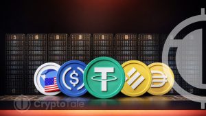 Stablecoin Fever As Traders Dive into 61% Borrowing Rates – Expert Insights