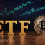 Why BTC Spot ETF Inflows Might Not Be as Bullish as Perceived? Analyst’s Insights