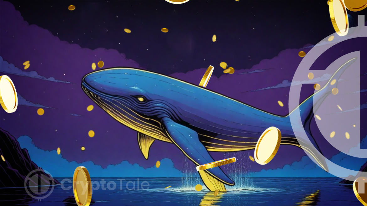 How Crypto Whales Are Influencing the Crypto Market Dynamics