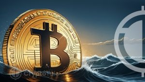 Analyst Predicts Bitcoin Boom Following Profit Realization Cycle