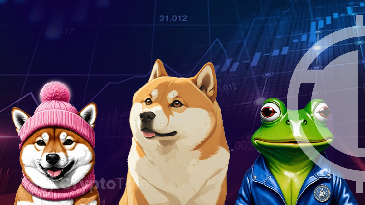 Dogecoin's Decline: Falling Demand and Market Caution Mark a Shift