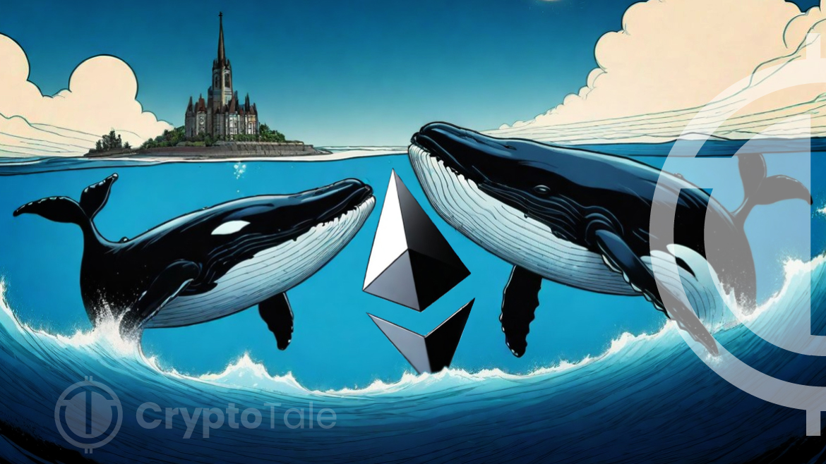 Whales Move Mountains: Analysts Spot 31K+ Ethereum Shift Amid Market Turbulence