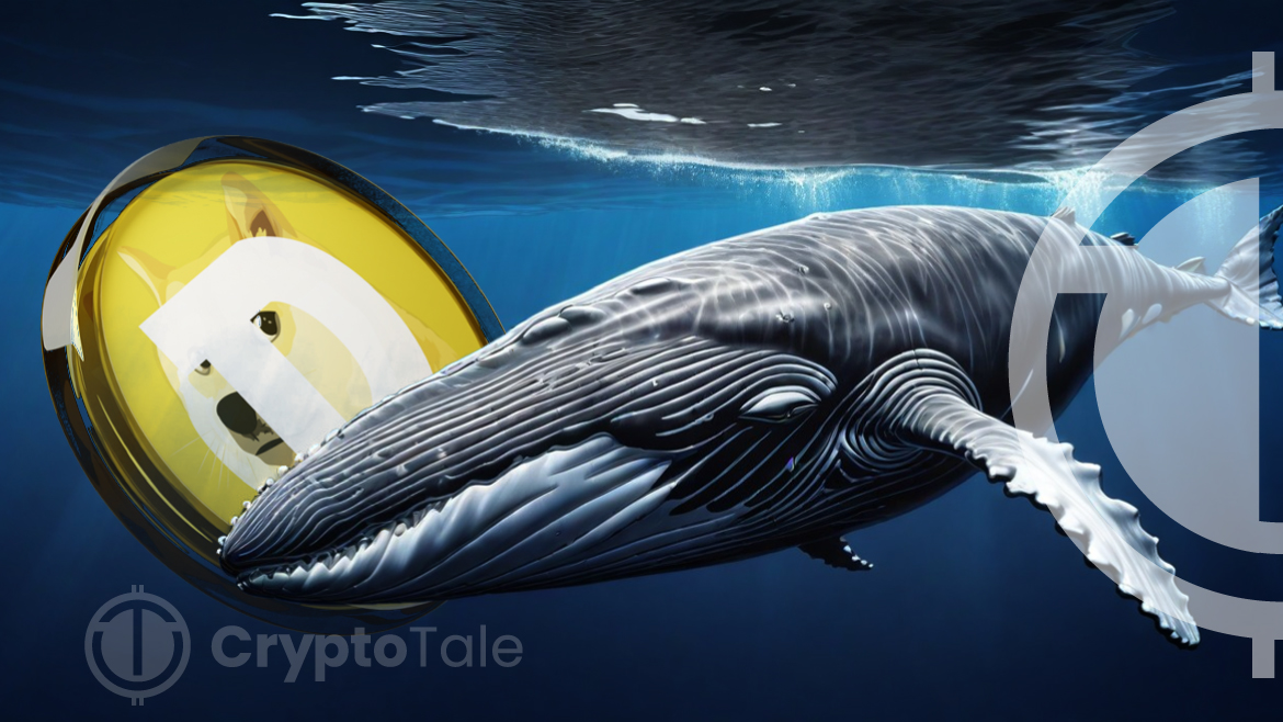 Dogecoin Whales on the Move: Robinhood Transfers Spark Speculation