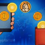 Bitcoin Wallet Growth Signals Rising Interest as Market Fluctuates: Report