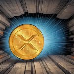 Analyst Forecasts Robust Support Levels for XRP's Future: Report