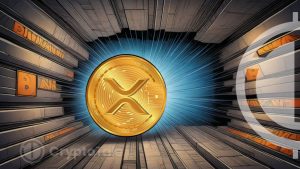 Analyst Forecasts Robust Support Levels for XRP’s Future: Report