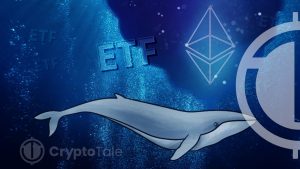 Hong Kong’s Green Light to Crypto ETFs Triggers On-Chain Whale Activity