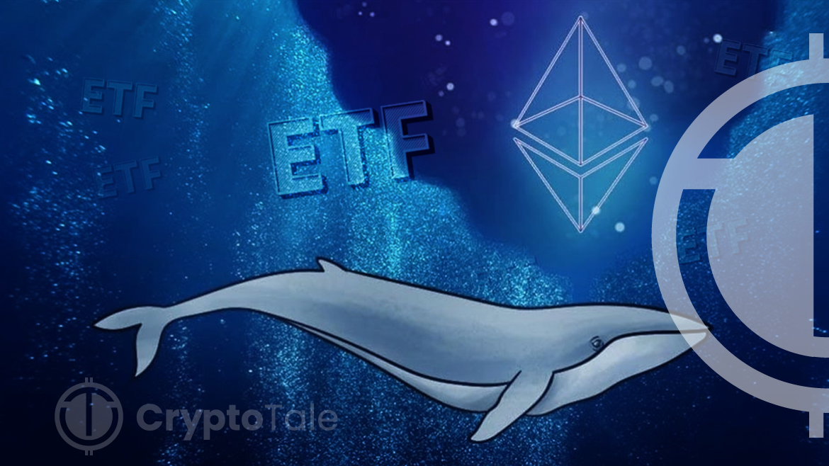 Hong Kong's Green Light to Crypto ETFs Triggers On-Chain Whale Activity