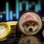 Dogwifhat Surges, Then Plunges: What's Next for Meme Coins?