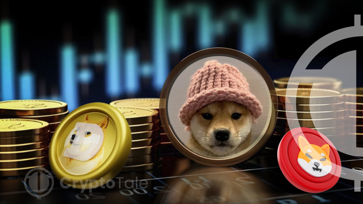 Dogwifhat Surges, Then Plunges: What’s Next for Meme Coins?