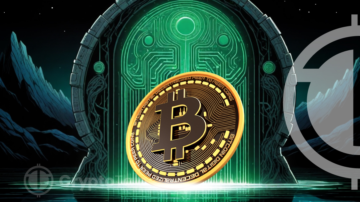 Bitcoin Insights: Analyzing Unrealized Profits Across Key Players