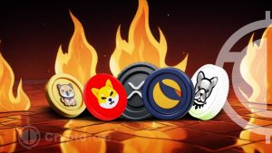Token Burns and Price Swings: What’s Next for $SHIB, $XRP, and $LUNC?