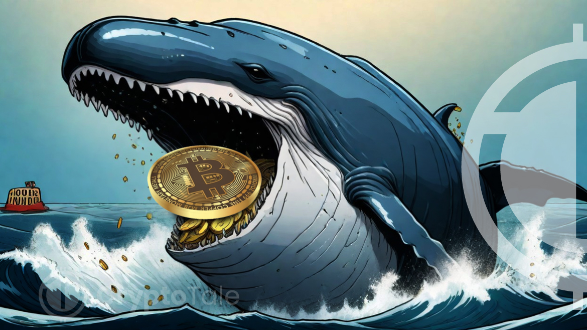 Bitcoin Whales’ Profit Surge: A Sign of Market Confidence or Caution?