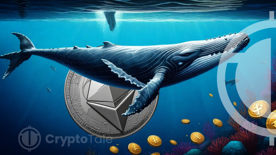 Whales Spark Ethereum Frenzy As $35M Buying Spree Sends Prices Soaring