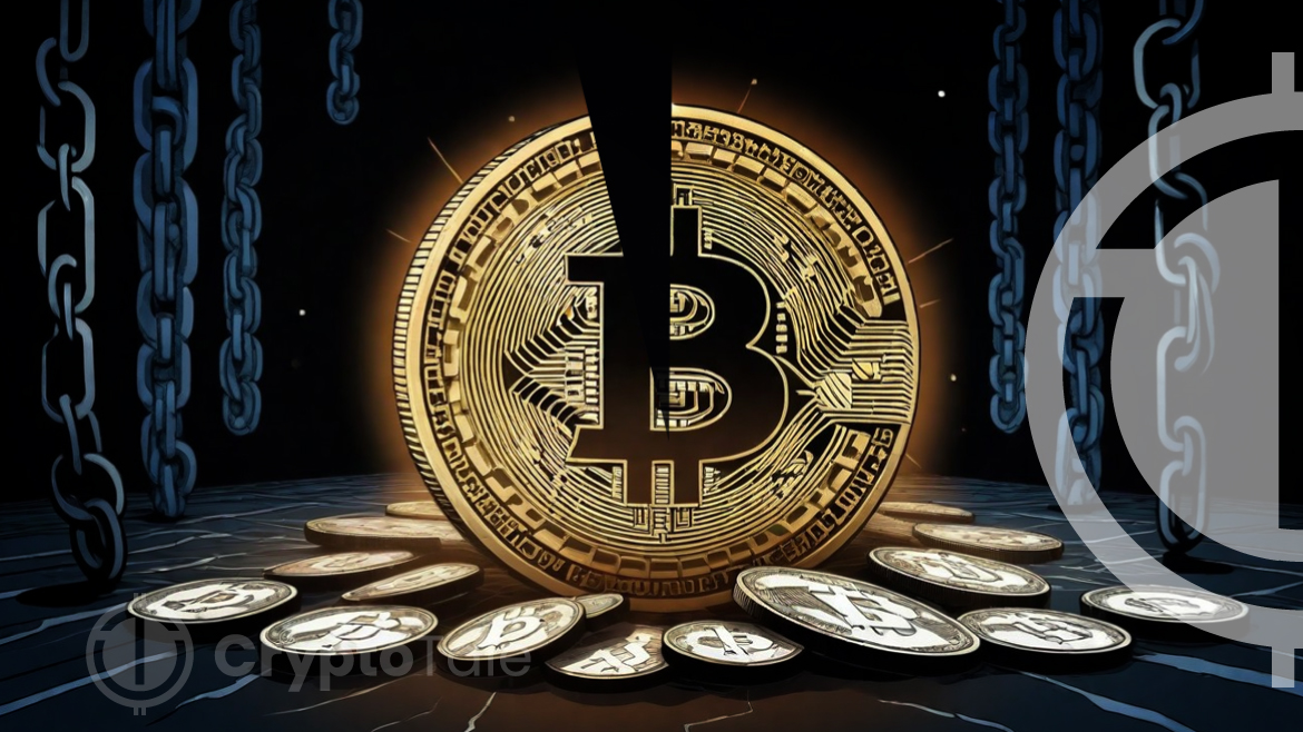 Important Phases of Bitcoin Halving | CryptoTale