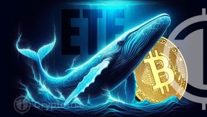 Bitcoin Whales Caught in the Dip: Opportunities on the Horizon?