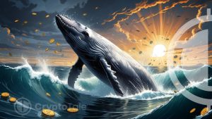 Bitcoin Whales Signal Conviction: What’s Next?