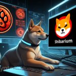 K9 Finance DAO Activates Validator on Shibarium TestNet PuppyNet