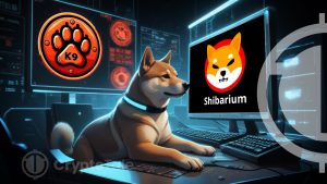 K9 Finance DAO Activates Validator on Shibarium TestNet PuppyNet