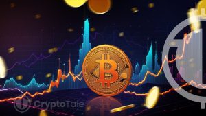 Declining BTC Dominance Signals Imminent Altcoin Rally