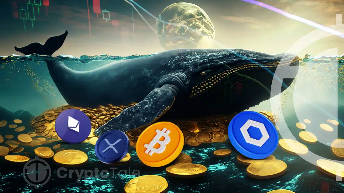 Whale Wallets Signal Future Trends for Bitcoin, Ethereum, and Chainlink