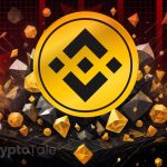 Binance Coin (BNB) Faces Downturn – Will it Bounce Back to $1000?