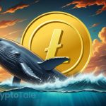 Whale Frenzy: Litecoin Whale Accumulation Hits Record High - What's Next for LTC?