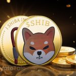 Shiba Inu Team Issues Urgent Message Amidst Sell-off and Burns