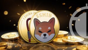 Shiba Inu Team Issues Urgent Message Amidst Sell-off and Burns