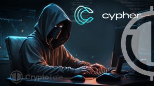 Cypher Dev Confesses to $315K Theft for Gambling: Report