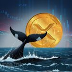 XRP Whale Watch: 64 Million Coins Moved Between Exchanges as Price Drops to $0.48
