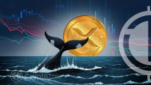 XRP Whale Watch: 64 Million Coins Moved Between Exchanges as Price Drops to $0.48