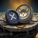 XRP and Floki Show Promising Potential Amid Market Turbulence