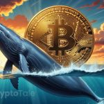 Analyzing Bitcoin’s Market Trends: Whale Influence Revealed