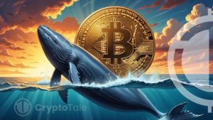 Analyzing Bitcoin’s Market Trends: Whale Influence Revealed