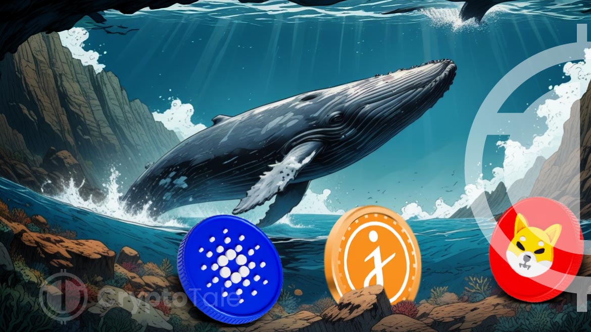 Whale Interest Sparks Surge in Cardano, Shiba Inu, and JasmyCoin Values