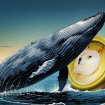Dogecoin Whale Activity Surges with Over 150 Million-Dollar Transactions Amid Price Drop