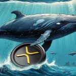 Whale Investors Increase XRP Holdings Amid Recent Price Dip – Key Support Levels to Watch